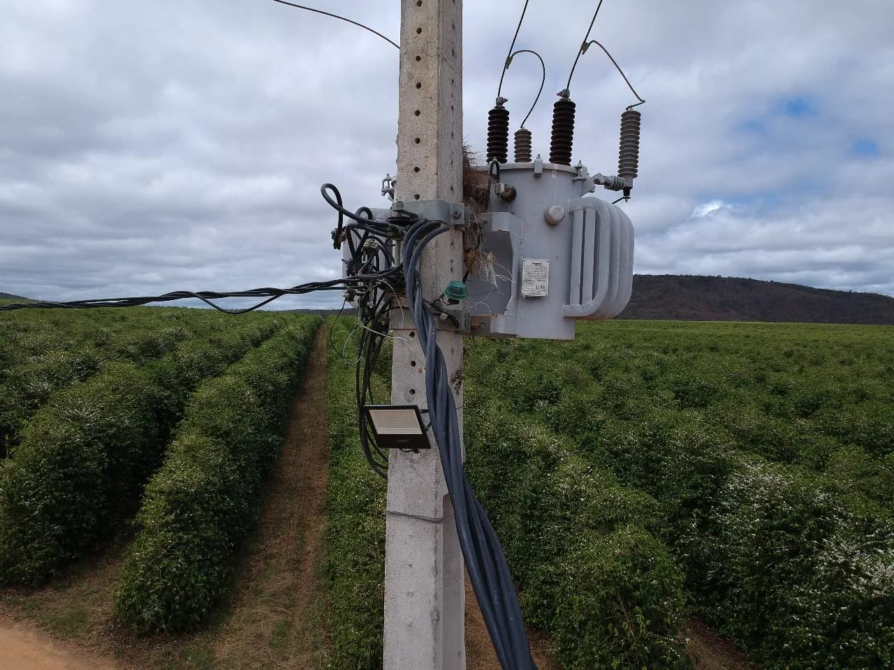 Transformador da infraestrutura elétrica fotografada.